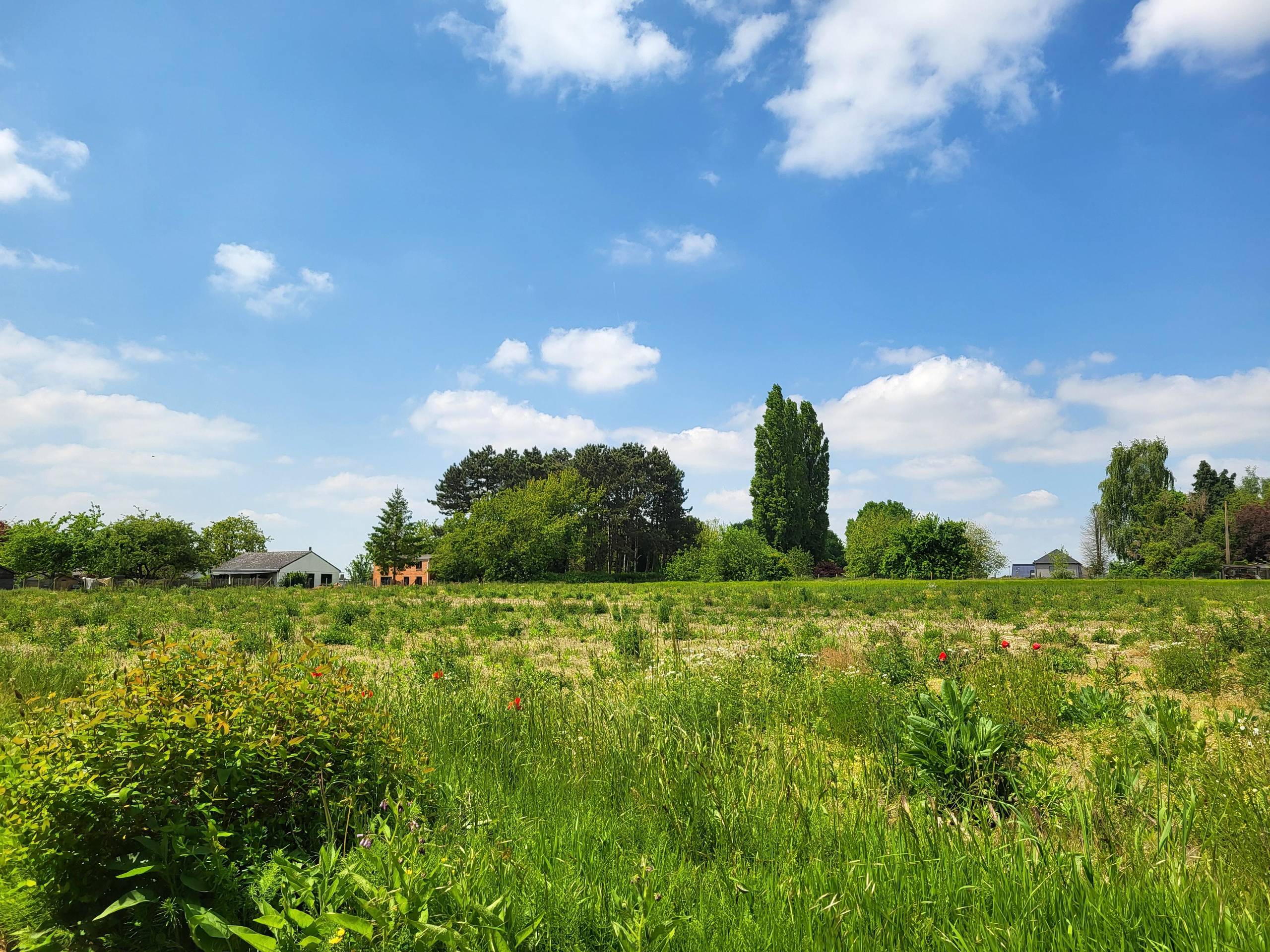 Woning 4 is een halfopen bebouwing  - foto 5