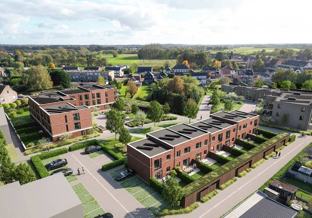 Project te koop in Berlaar