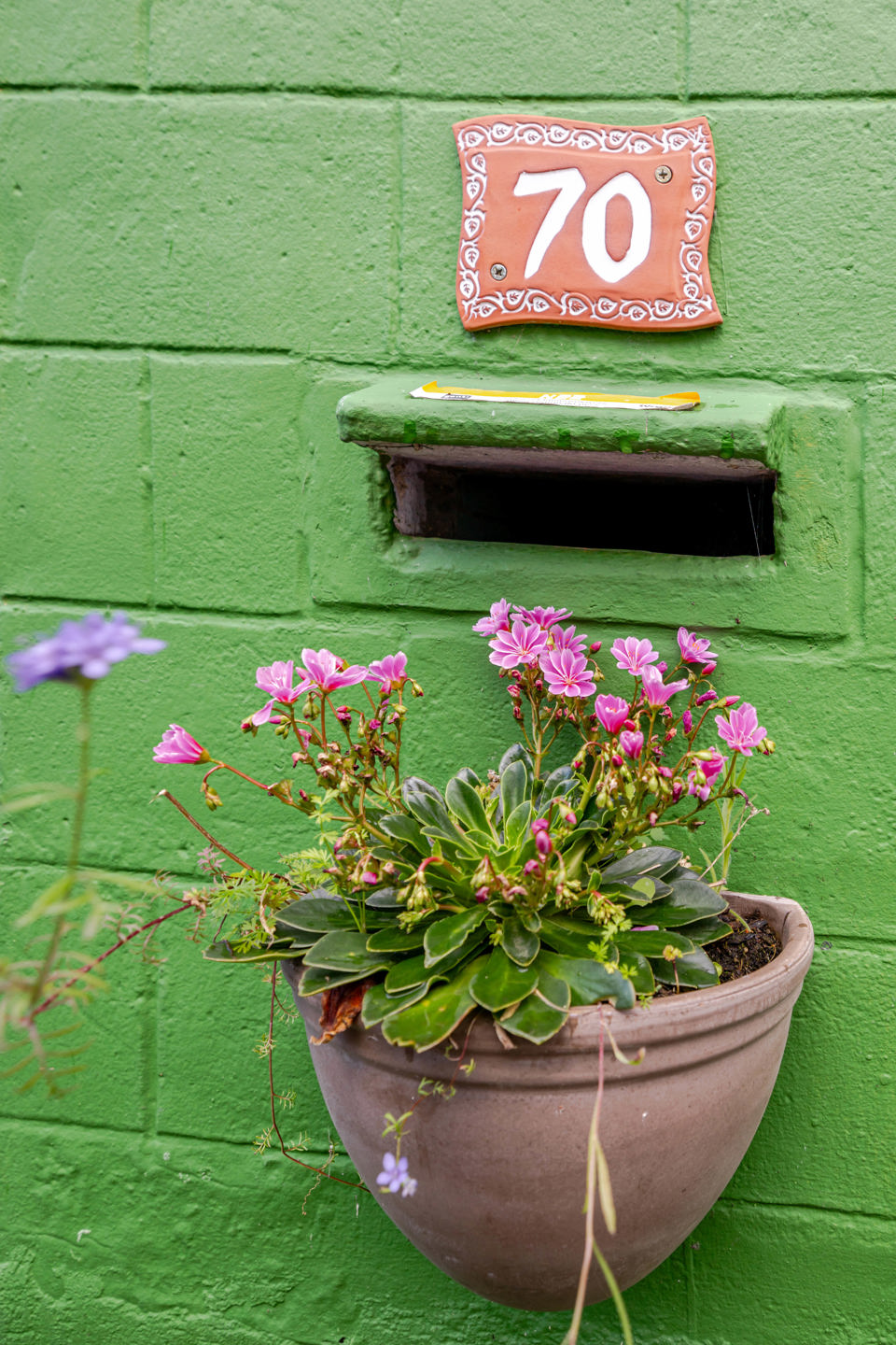 Maison à vendre à Gand avec 3 chambres - photo 2