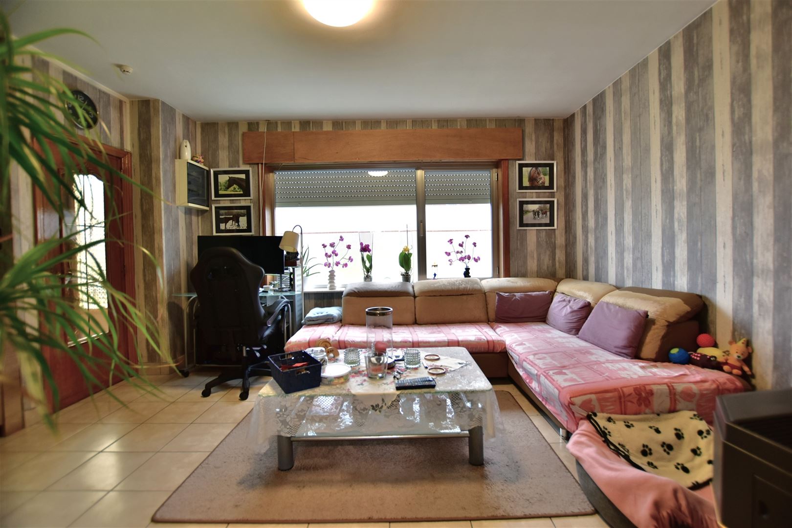 Ideale starterswoning in kindvriendelijke omgeving - foto 2