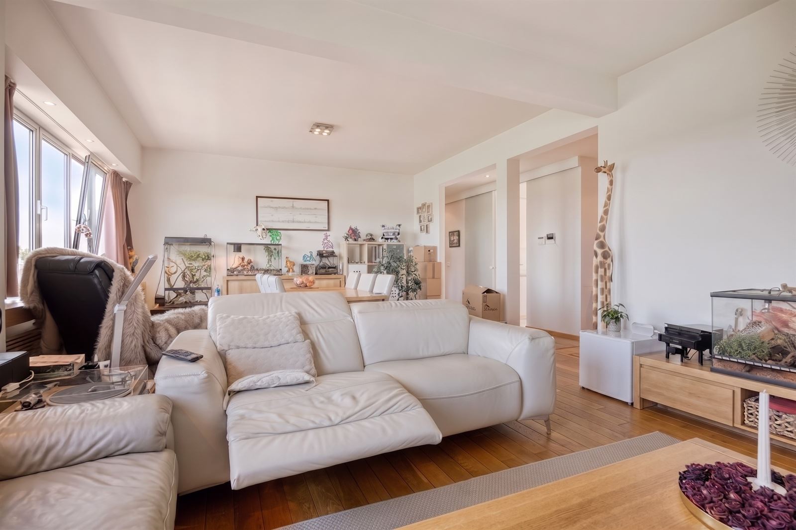 Lichtrijk appartement op toplocatie aan de Jan Van Rijswijcklaan - foto 5