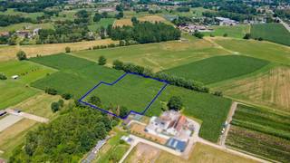 <p><span>Mooi perceel landbouwgrond van 7.043 m² te Schriek</span></p><p><span> </span></p><p><span>Prachtig en uitgestrekt perceel landbouwgrond, gunstig gelegen in een rustige en landelijke omgeving te Schriek.</span></p><p><span>Het weiland, gekend onder perceelnummer 0156BP0000, heeft een totale oppervlakte van maar liefst 7.043 m².</span></p><p><span>Het perceel is bereikbaar via een uitweg ter hoogte van Galgestraat 1.</span></p><p><span>Meer informatie?<br />Neem gerust contact op met ons kantoor via 015/755 444 of <span>info@immovercammen.be</span></span><span>.</span></p><p><span> </span></p>