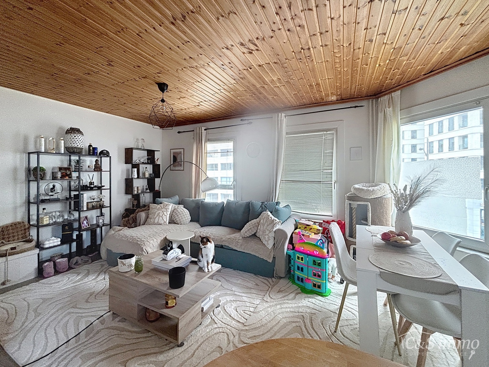 Te huur: Licht en gezellig appartement in hartje Antwerpen - foto 3