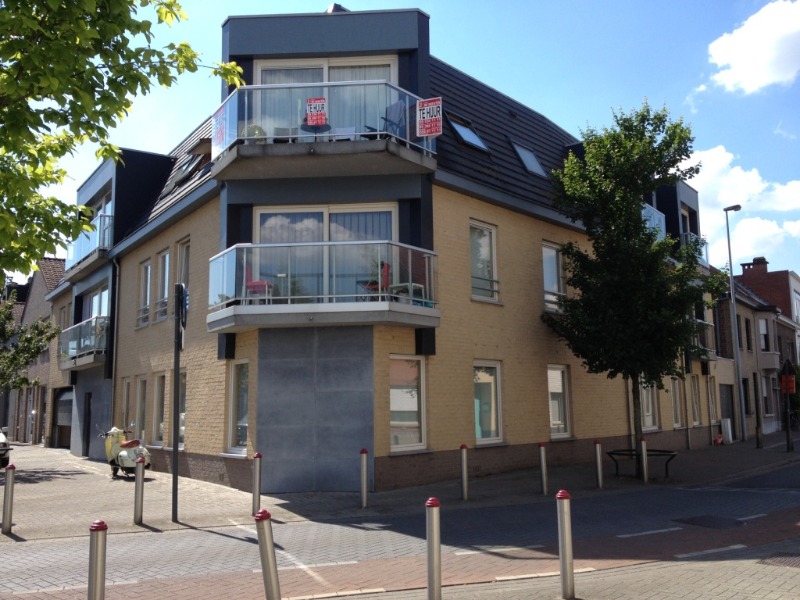 :Woningtype te :Stad