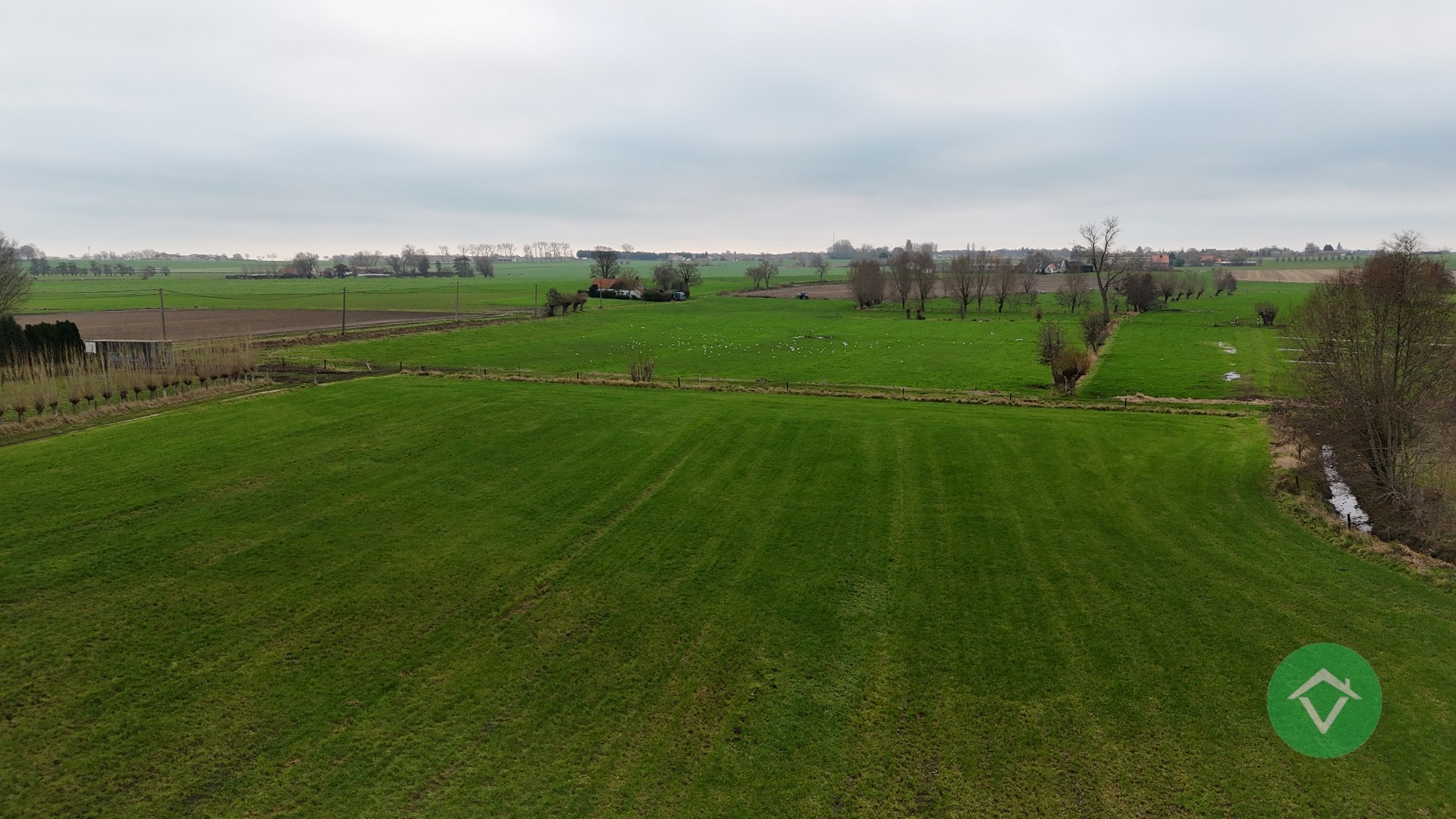 House for sale in Ichtegem with 4 bedrooms - photo 4