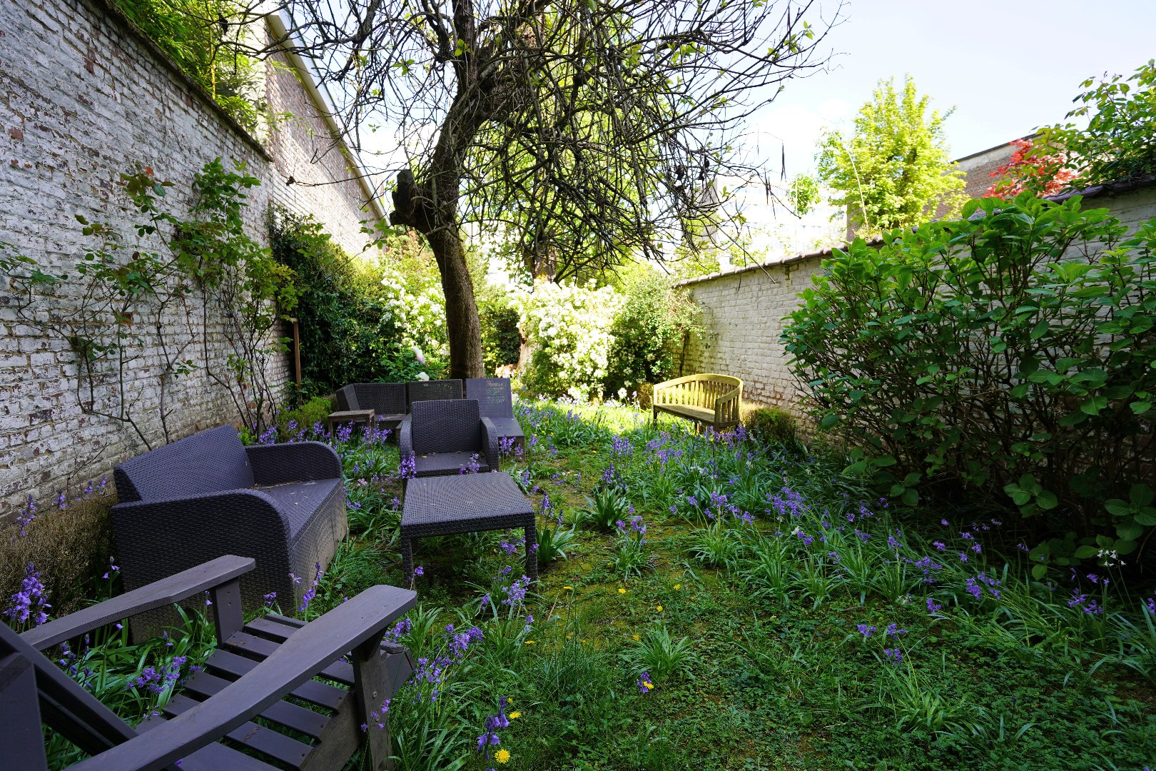 Herenhuis opsplitsbaar in 3-4 apptn of tot 11 kamers - foto 3