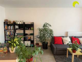 This cosy one-bedroom flat with a sunny terrace is in a prime location in Mortsel! The flat is situated on the border between Mortsel and...