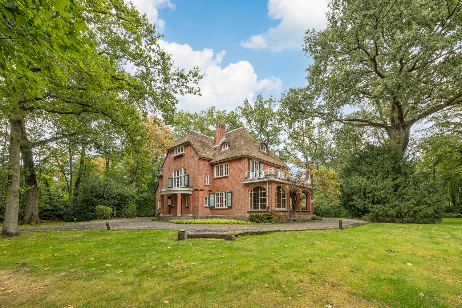 Karaktervolle te renoveren rietgedekte villa op een uitzonderlijk parkdomein van 13.670 m² in Vriesdonk (inclusief bouwgrond van ca. 4.543m²!) - foto 4
