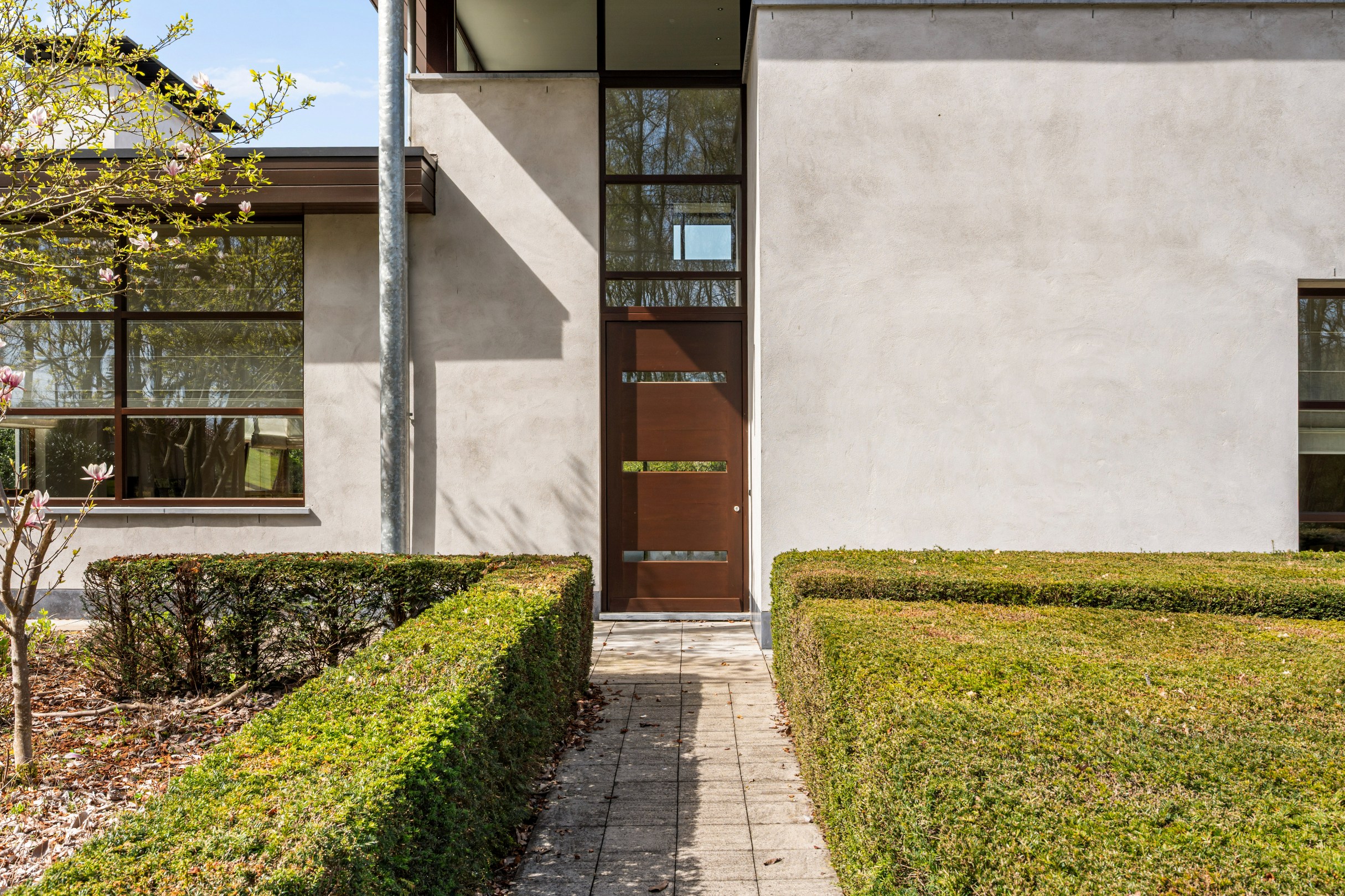 Moderne villa op 1.240 m² in residentiële omgeving te Achel - foto 4