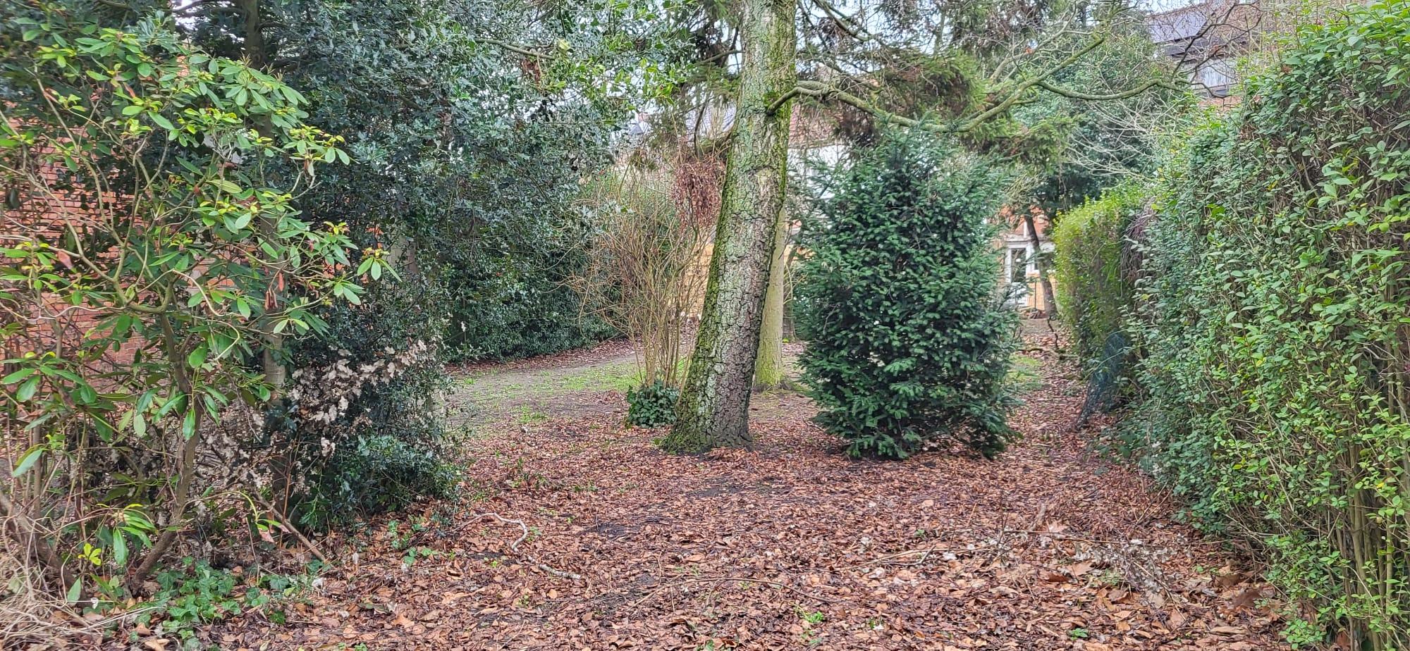 Land for sale in Kapellen - photo 5