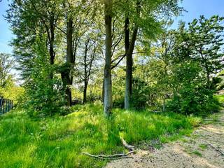 Mooie BOUWGROND voor VILLA, pal in het KLUISBOS! UNIEKE KANS, pal in het KLUISBOS!