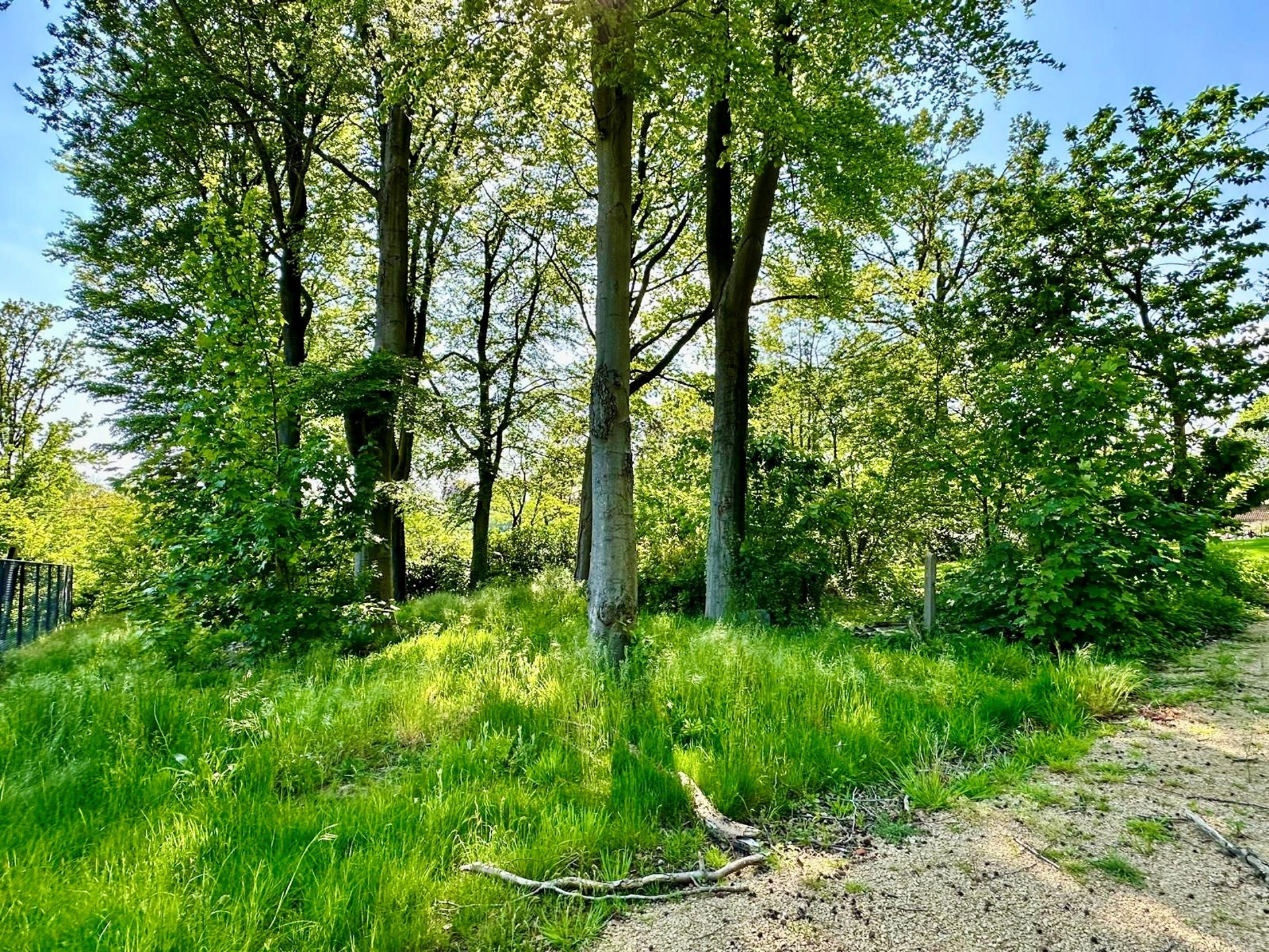 Mooie BOUWGROND voor VILLA, pal in het KLUISBOS! - foto 1