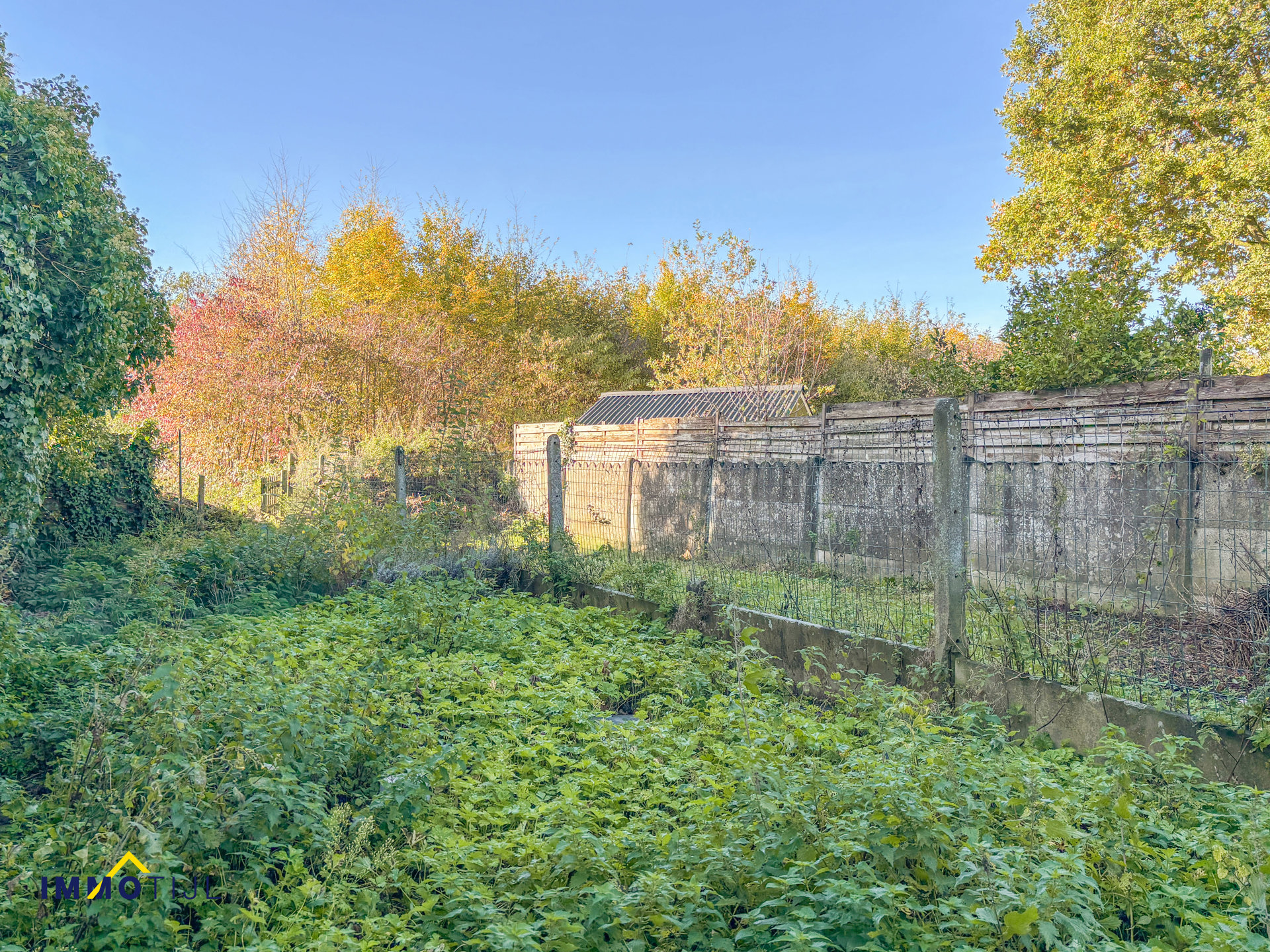 Af te werken woning met zonnige tuin in rustige omgeving! - foto 2