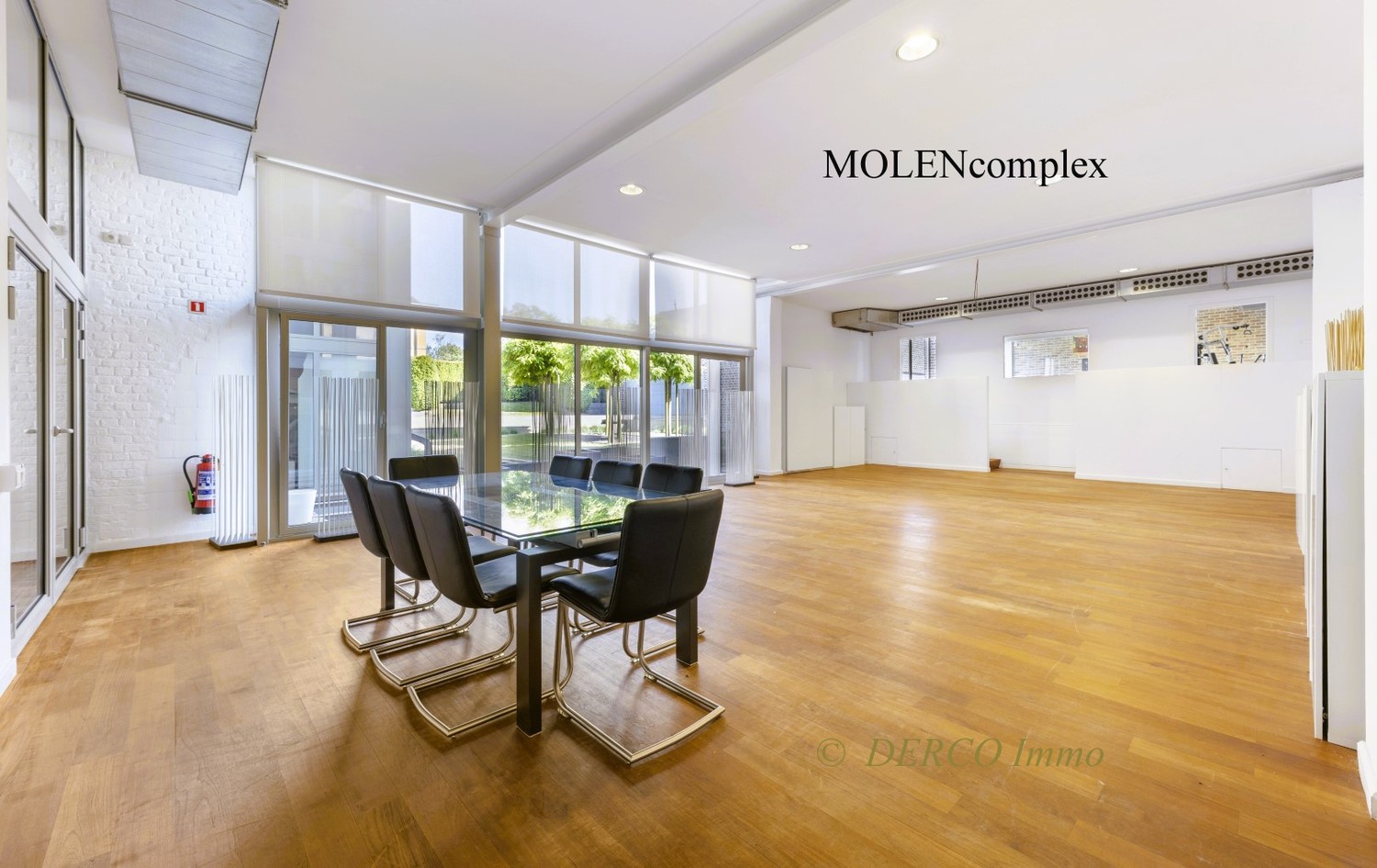 uniek GEHEEL van historisch MOLEN-complex (KANTOREN / EVENT-locatie) met naastliggende topklasse VILLA - foto 2