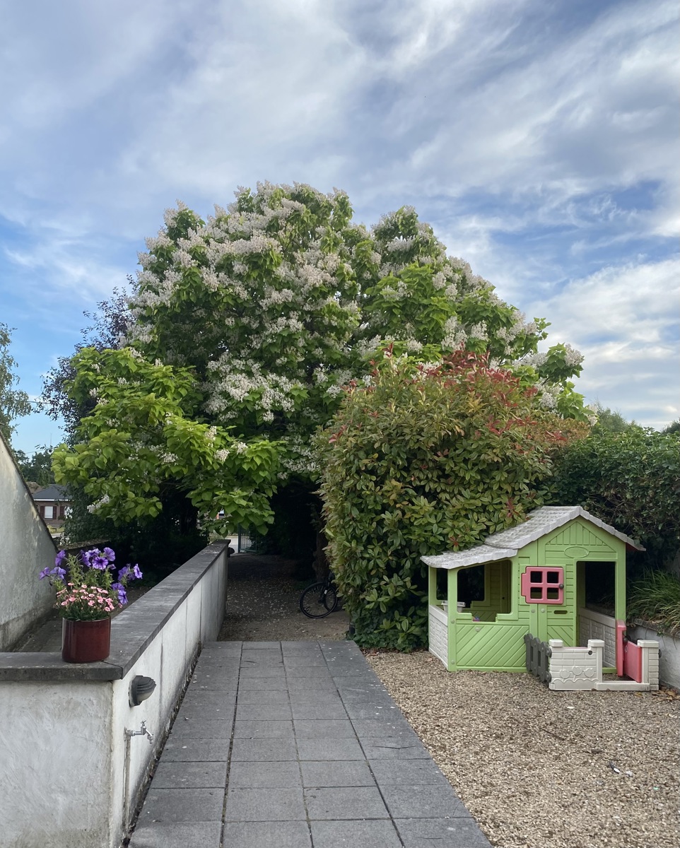 Ruime, lichrijke instapklare woning met 4 slaapkamers - foto 3