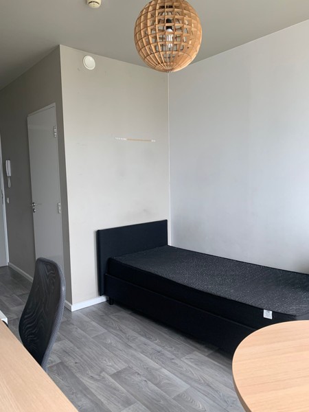 Studentenkamers te Campus Nieuw Zuid - foto 4