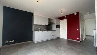 <strong>Instapklaar 2-slaapkamerappartement</strong> met <strong>TERRAS </strong>en <strong>AUTOSTANDPLAATS </strong>te huur in <strong>Torhout</strong>.<br />Een aangename, energiezuinige en praktische woongelegenheid op wandelafstand van de markt, winkels, station en ziekenhuis. <br />+ Lift aanwezig !<br />+ Energielabel B!<br />+ Zeer goede Mobiscore 8,1 op10!<br /><br />Omvat een inkom, toilet, living met ingerichte open keuken, berging, 2 slaapkamer, badkamer met ligbad douche combi, terras, autostandplaats en een gemeenschappelijke fietsenberging.<br />Kosten + 50 euro / maand forfait algemene delen & syndic<br />#leukwonen #torhout<br /><br />Beschikbaar onmiddellijk vrij !