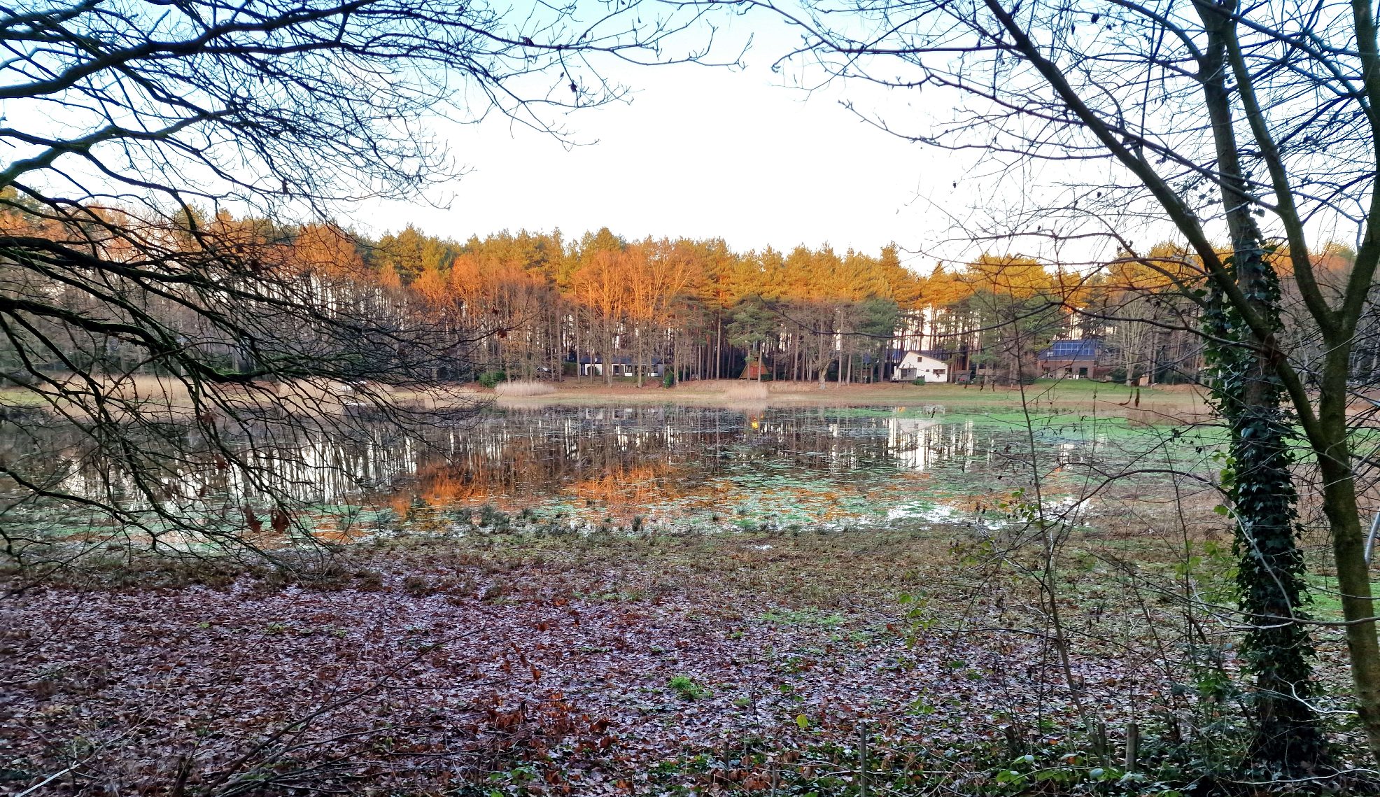 Land for sale in Brecht