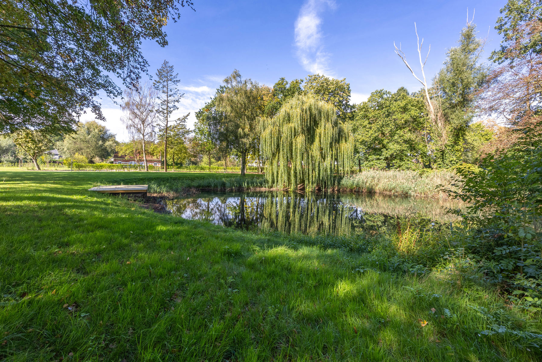 Karaktervol landhuis op een groen domein van ca. 3 ha - foto 4