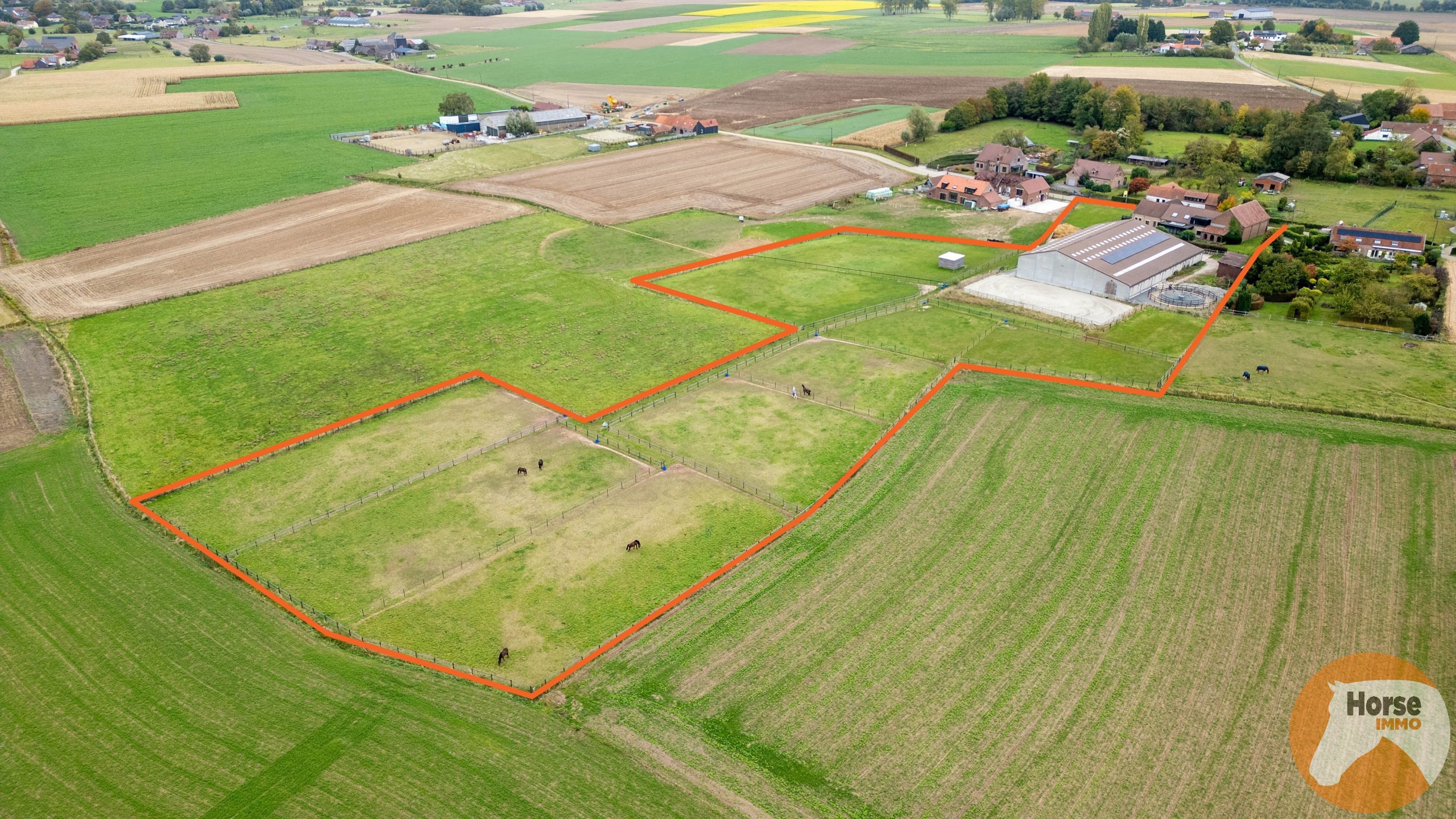HERNE - Paardenaccommodatie met woning op 2,4ha - foto 2