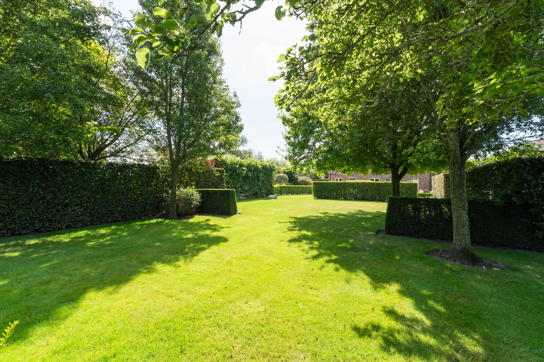 Energiezuinige villa op 1886m² in rustige omgeving - foto 5