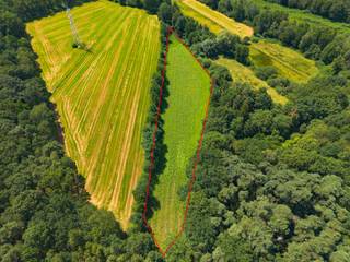 Goed gelegen grond te koop in Geel
Deze percelen zijn bereikbaar langs een weg en bestaan uit 8400m².
De gronden zijn niet verpacht.
Voor meer informatie neem contact op met ons kantoor.