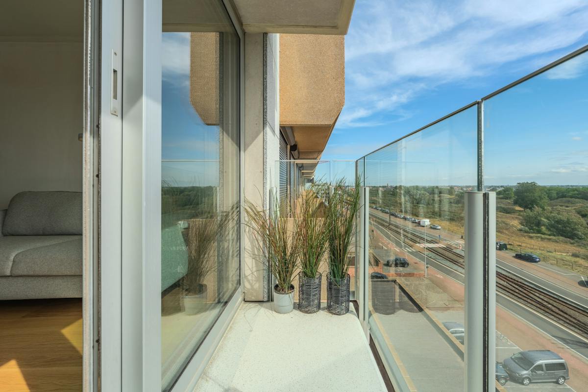 Zonnige studio met terras en magnifiek zicht op de duinen - foto 2