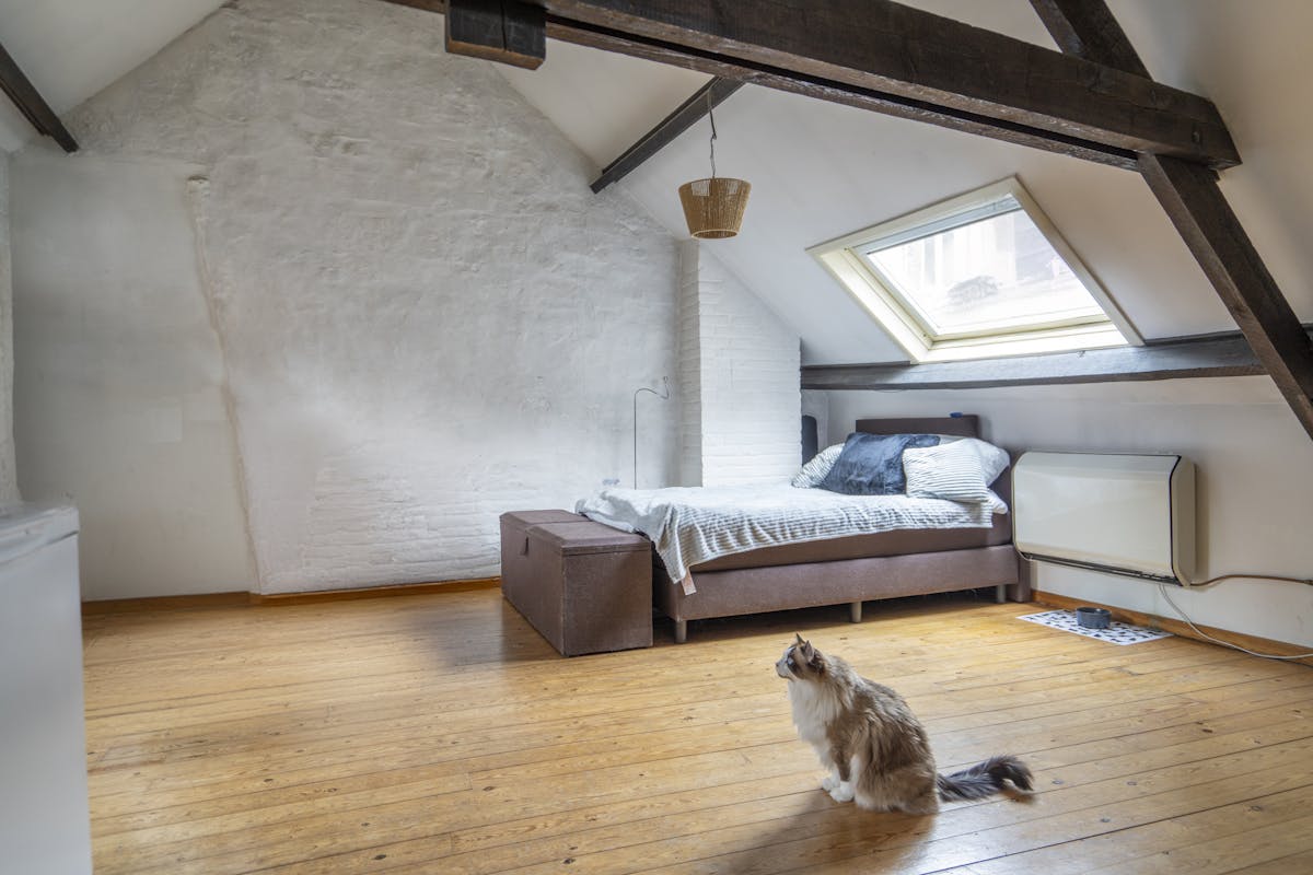 Investment property for sale in the center of Ghent - photo 4