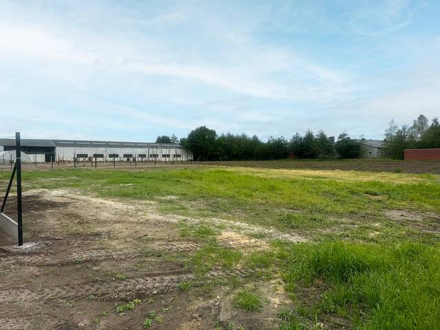 Project te koop in Wingene