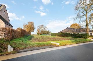 Land for sale in Balen