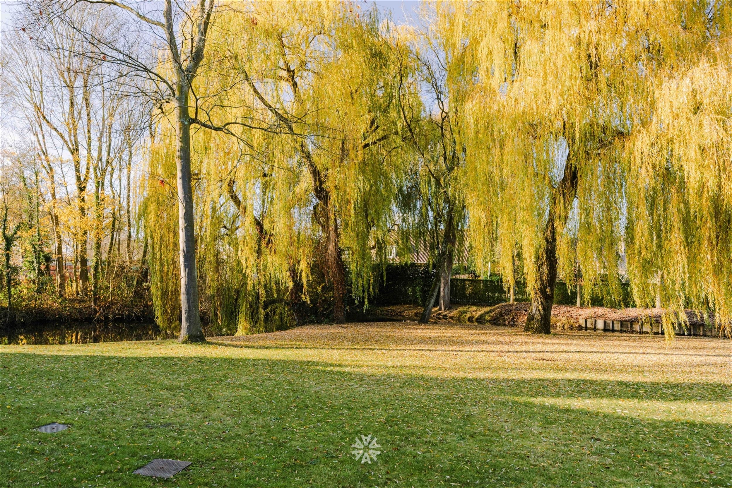 Ruim gelijkvloers appartement met 3 slaapkamers in groene omgeving  - foto 3