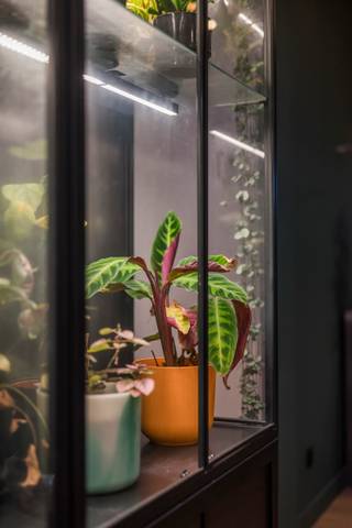 <p>Te koop: karaktervolle gesloten woning in Sint-Niklaas, gelegen aan de stadsrand met vlotte toegang tot invalswegen.</p>

<p> </p>

<p>Deze woning uit 1935 combineert authentieke charme met praktische leefruimtes. Gelegen in een residentiële buurt, geniet u van een rustige omgeving met alle voorzieningen binnen handbereik. De ruime keuken vormt het hart van de woning, terwijl de gezellige tuin van 75 m² een fijne plek biedt om buiten te ontspannen. Dankzij de gunstige ligging aan de stadsrand bent u snel op weg naar het centrum of de omliggende gemeenten.</p>

<p> </p>

<p>Belangrijkste ruimtes:<br />• Inkomhal (11 m²) met toegang tot de leefruimtes<br />• Living (21 m²) met aangename lichtinval<br />• Ruime keuken (29 m²) volledig ingebouwd en voorzien van inductiekookplaat, oven, microgolf, vaatwasser en koelkast<br />• Toilet (4 m²) met handenwasser<br />• Badkamer (13 m²) met douche, toilet, bidet en ingemaakte kasten<br />• Slaapkamer 1 (18 m²)<br />• Slaapkamer 2 (15 m²)<br />• Slaapkamer 3 (21 m²)<br />• Polyvalente ruimte (11 m²) met ingemaakte kasten<br />• Tuin (75 m²) ideaal voor ontspanning</p>

<p> </p>

<p>Troeven:<br />• Rustige, residentiële ligging aan de stadsrand<br />• Ruime, volledig uitgeruste keuken<br />• Gezellige tuin van 75 m²</p>

<p> </p>

<p>Neem vandaag nog contact op met uw ERA-makelaar voor een bezoek.</p>

<p> </p>

<p>JOUW DROOMHUIS. ZO GEVONDEN!</p>