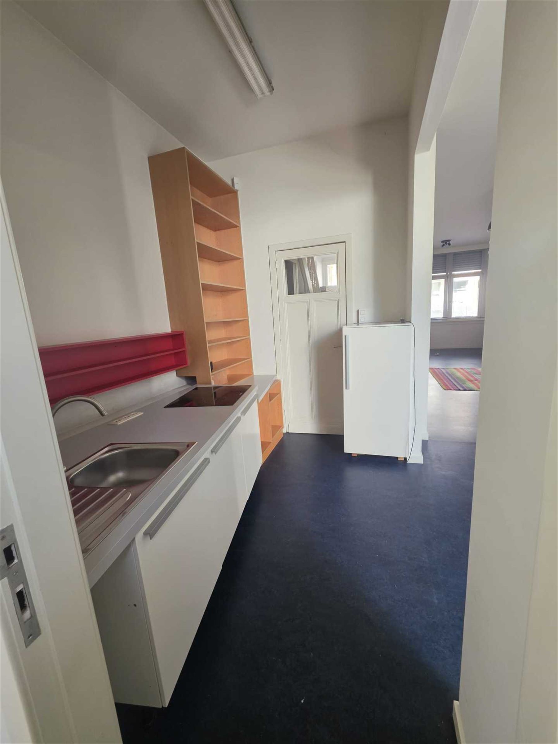 Unieke Loft met Stadstuin vlakbij Boelaerpark - foto 4