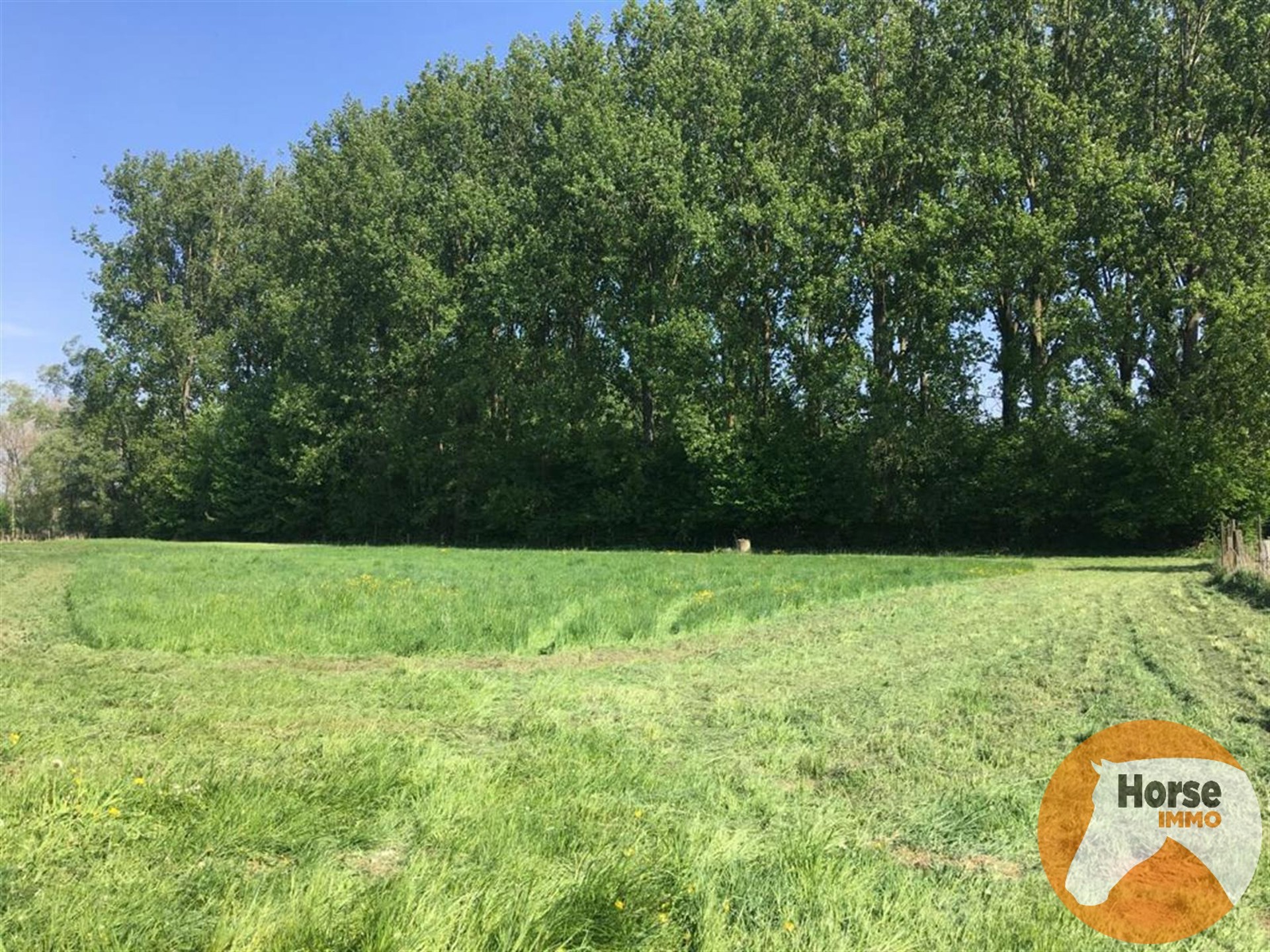 DENDERLEEUW - Weide van 1,6 HA. - foto 4