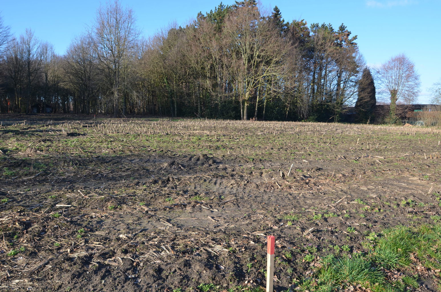 Nabij Staakteschool: residentieel gelegen bouwgrond voor OB - foto 4