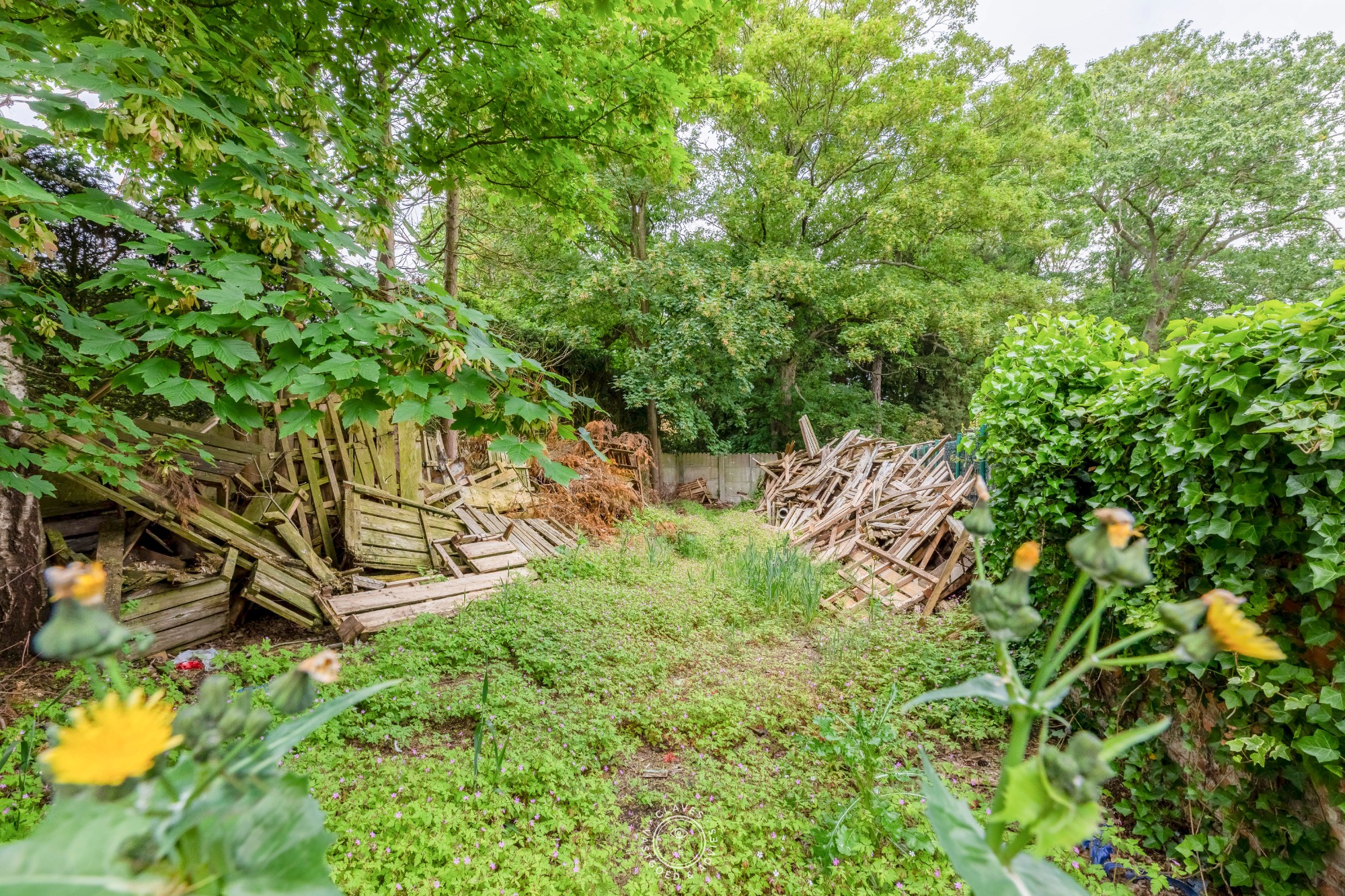 Maison à vendre à De Klinge - photo 3