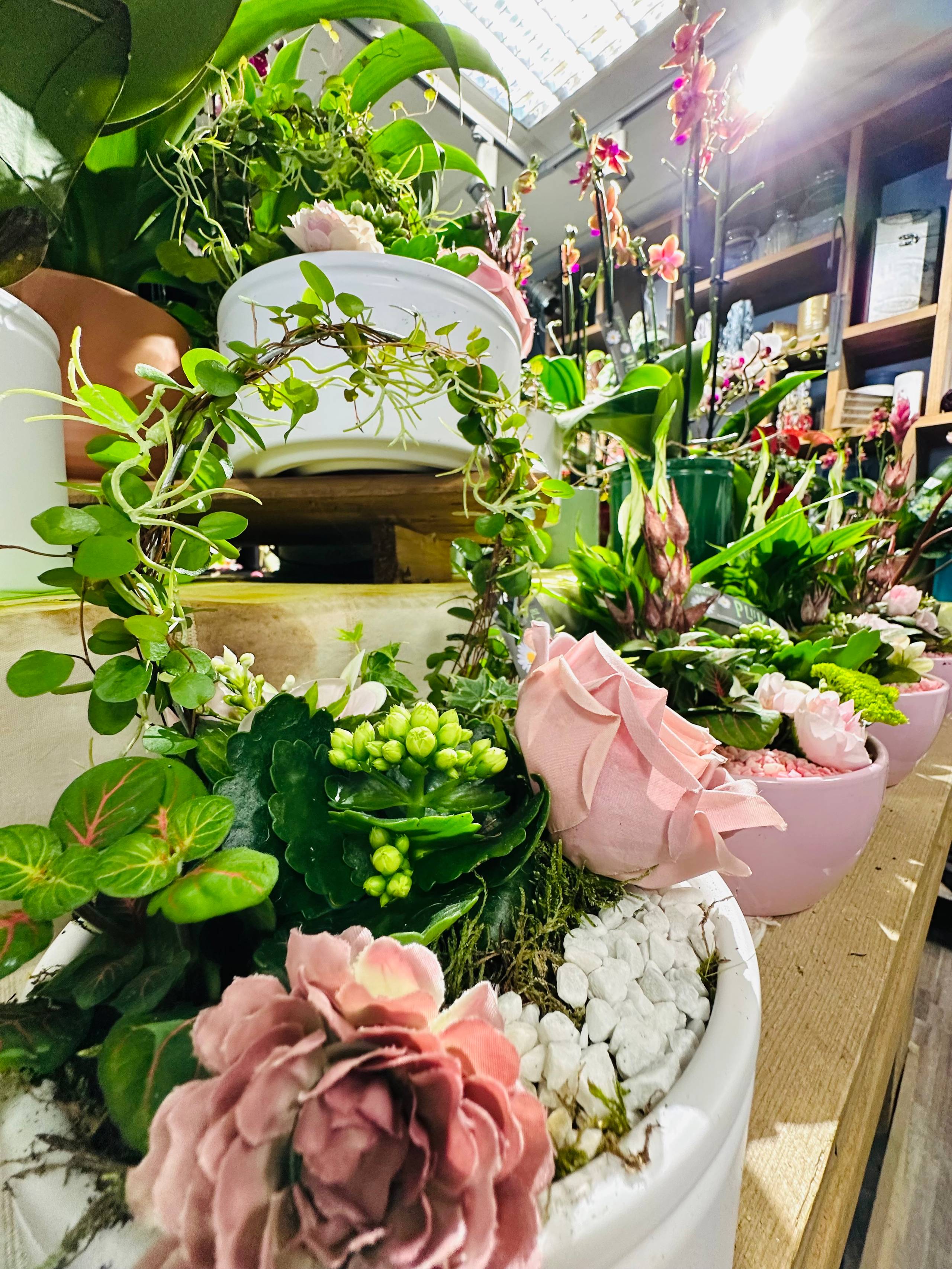 Te Koop Handelszaak op Toplocatie in Wervik - foto 4