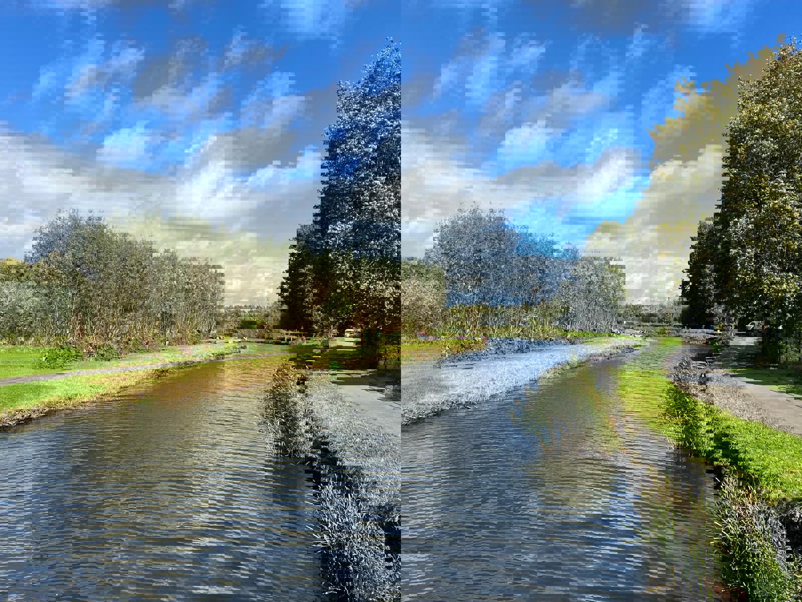 Project te koop in Sint-Niklaas - foto 2