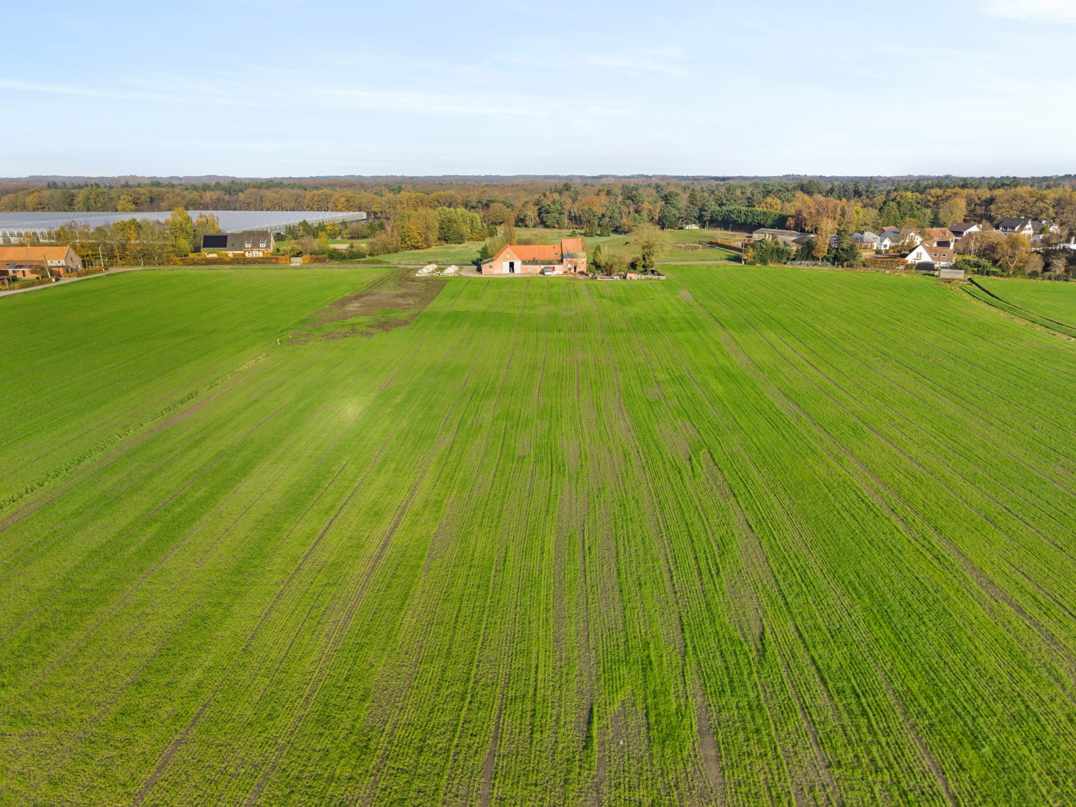 Te renoveren hoeve omgeven door weilanden op ± 9.638 m² te Hoogstraten! - foto 5