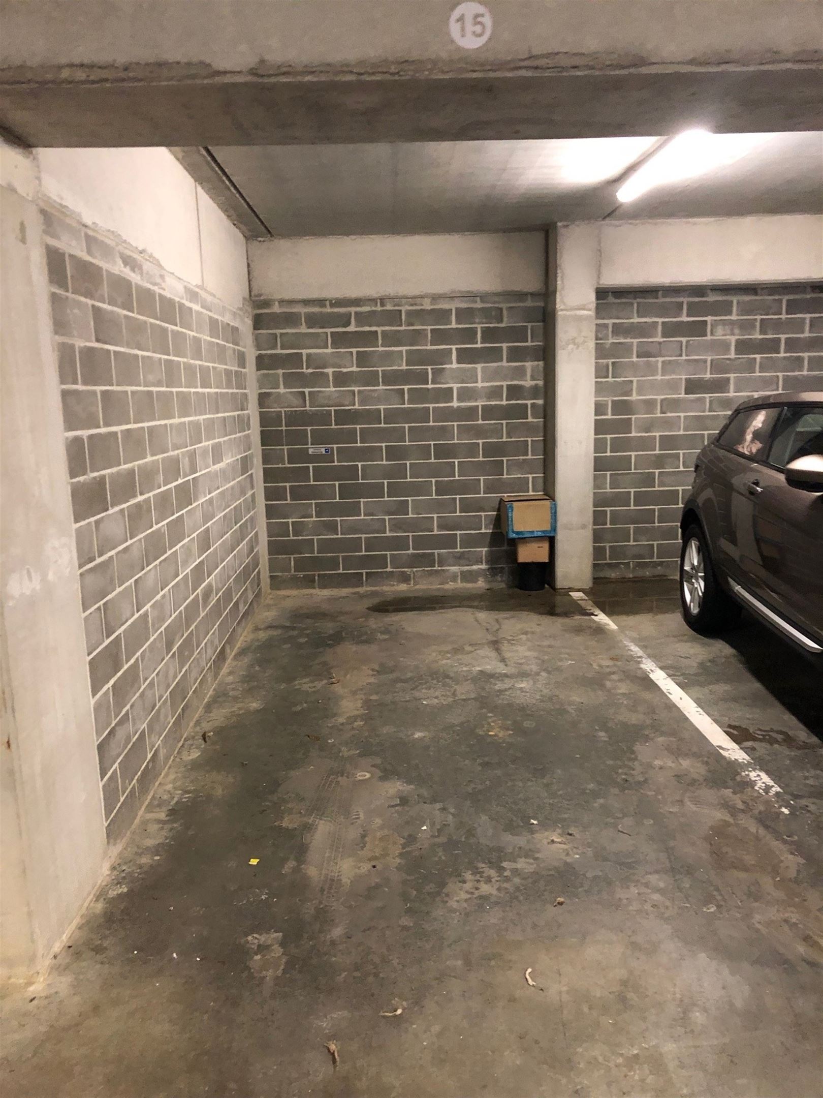 …