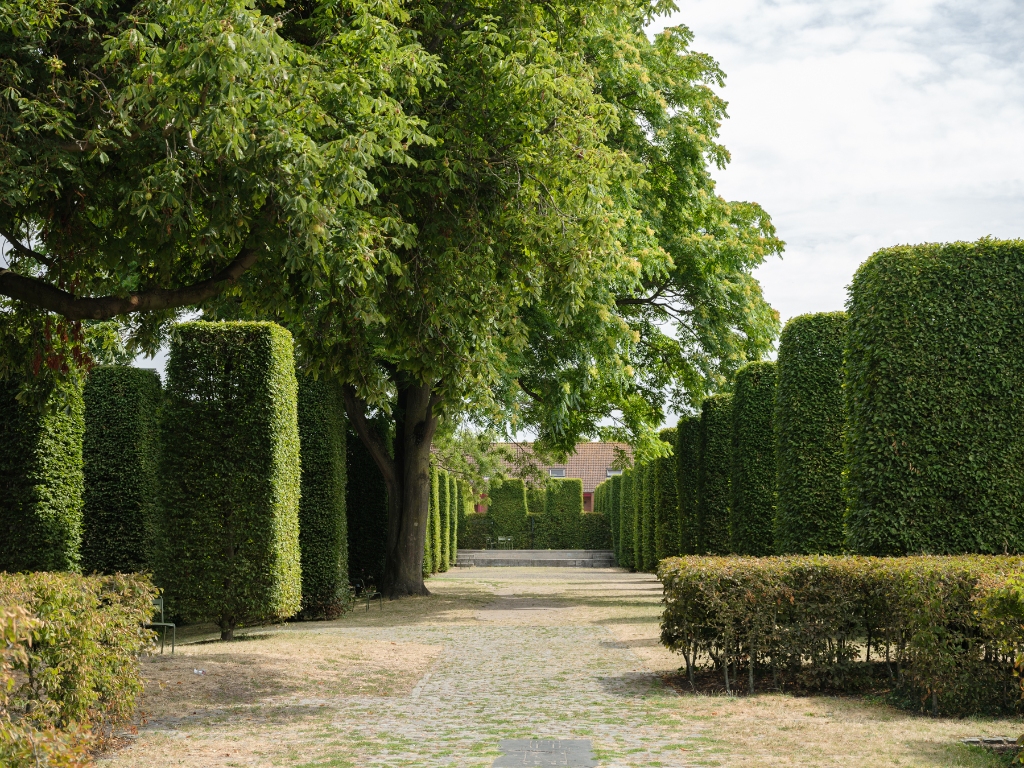 Spacieux appartement 2 chambres avec terrasse ensoleillée dans le quartier Saint-Macharius - photo 4