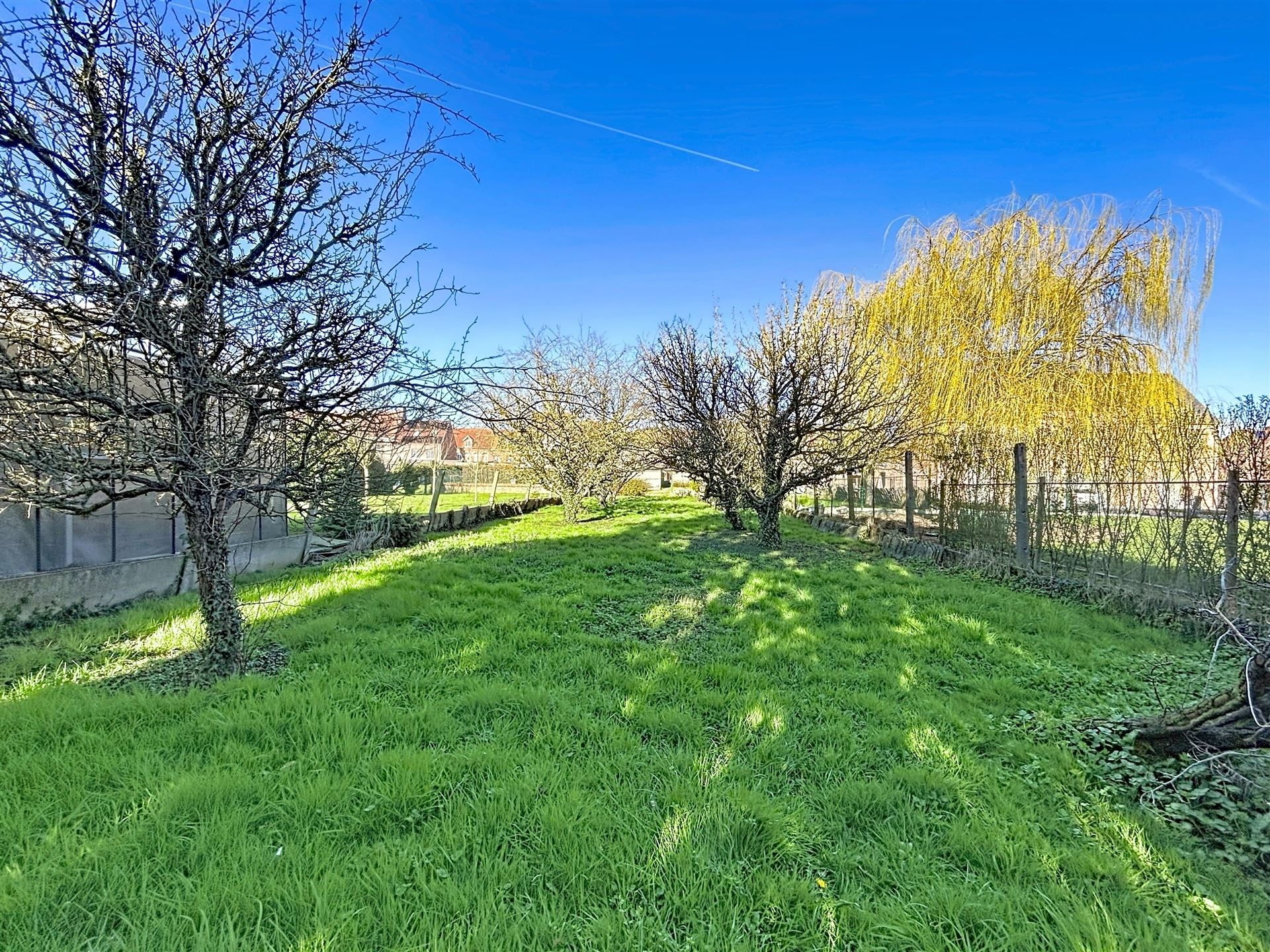 Alleenstaande woning - foto 5