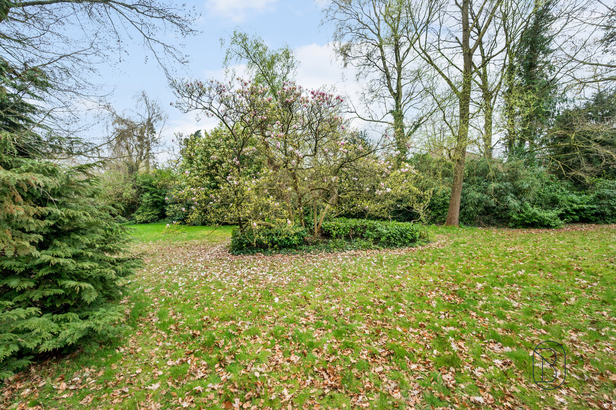 Topgelegen in de Rodenburg: te renoveren/af te breken villa - foto 4