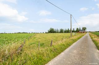 Bent u op zoek naar een <strong>rustig gelegen</strong> woning op een <strong>groot perceel</strong> grond met tal van mogelijkheden?<br /><br />Deze te moderniseren woning in <strong>Geluveld (Zonnebeke) </strong>is gelegen op een prachtig perceel van maar liefst <strong>3.990 m²</strong> en biedt ruimte, privacy en potentieel.<br /><br />De woning werd in de <strong>jaren ’90 vernieuwd</strong> en beschikt over een solide basis met dubbele beglazing en centrale verwarming op mazout. Binnenin vindt u een functionele indeling met onder andere <strong>3 slaapkamers en 2 badkamers</strong>, ideaal voor gezinnen of wie graag extra ruimte heeft.<br /><br />De buitenruimte is een absolute troef: een<strong> ruime tuin</strong>, een aangenaam terras en maar liefst <strong>2 garages</strong> zorgen voor comfort en praktische voorzieningen in een groene omgeving.<br /><br /><u>Troeven van deze woning:</u><br /><br />✔ Landelijke, rustige ligging in Geluveld (Zonnebeke);<br />✔ Groot perceel van 3.990 m²;<br />✔ Veel potentieel na modernisatie;<br />✔ 3 slaapkamers en 2 badkamers;<br />✔ 2 garages, parkeerplaatsen en oprit;<br />✔ Ideaal voor wie houdt van ruimte en natuur.<br /><br />Deze woning is perfect voor wie op zoek is naar een woning met grond en bereid is deze naar eigen smaak te moderniseren. Dankzij de rustige ligging en de nabijheid van belangrijke verbindingswegen geniet u hier van het beste van beide werelden.<br /><br />Benieuwd naar dit pand of een andere eigendom? www.coventa.be – 051 222 051