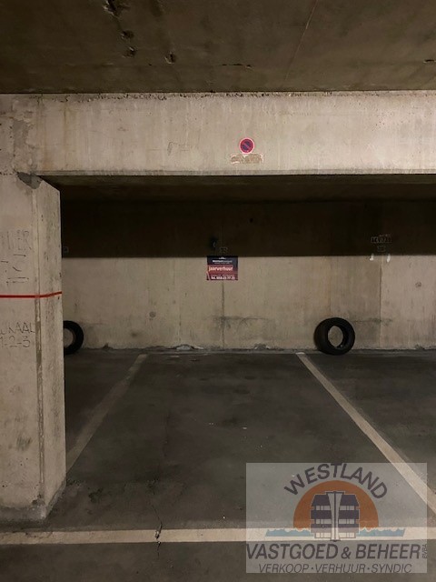 …