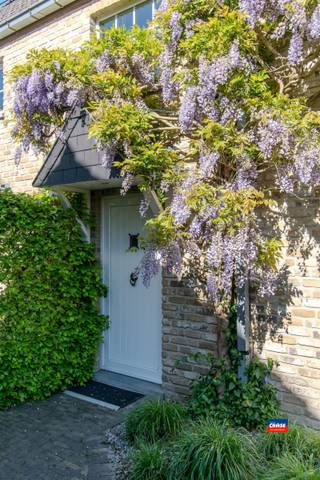 KONTICH | HALFOPEN FAMILY HOUSE WITH THREE BEDROOMS, LARGE GARDEN AND GARAGE ON A TOTAL GROUND PLOT OF 466m² | EPC C |Ground floor:  garage with...