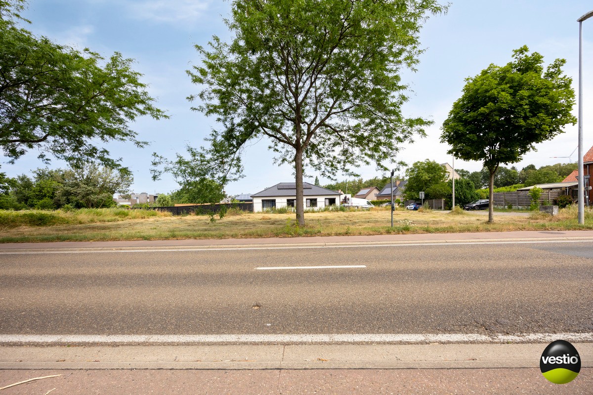 Land for sale in Tessenderlo-Ham - photo 5