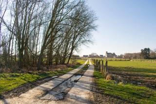 VALIMMAS verkoopt dit mooi gelegen perceel landbouwgrond te Baardegem. Oppervlakte: 34 are 95 ca (breedte ± 36m x diepte ± 110m)...