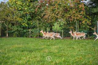 Amidst the vast Damme polder landscape lies this authentic farmhouse, peacefully located along a rural road with no through traffic. A rare combination of tranquillity, privacy, and open views — just a few minutes from the picturesque centre of Damme and within easy reach of both Bruges and Knokke.<br /><br />The property includes a house in need of modernization with a large adjoining barn, which can, if desired, be integrated into the home to create additional living space or a unique residential experience. On the grounds, there is also a second barn of approximately 275 m², offering a wide range of possibilities: ideal for storage, hobbies, keeping animals, a workshop, a self-employed activity, or office space.<br /><br />Adjacent to the house lies a beautiful pasture — a true asset for animal lovers or for those seeking peace, nature, and space in an exceptional setting.<br /><br />This property offers excellent potential for those wishing to enjoy country living with all amenities close at hand — a unique opportunity in the heart of Damme.
