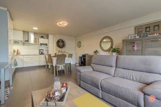 Vandaag nemen we je mee naar de rustige gemeente Bornem. De gemeente staat bekend voor zijn wondermooie fietsroutes doorheen de natuur en...